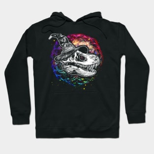 Because Reasons! Hoodie